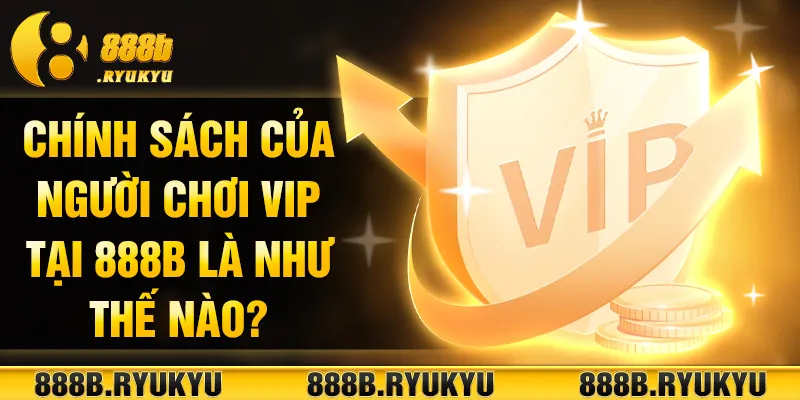 Chính sách của khách hàng VIP tại 888B là như thế nào? Chính sách của khách hàng VIP tại 888B là như thế nào?